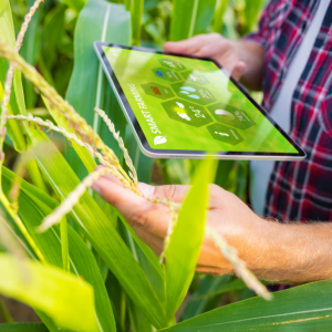 How technology is impacting the agribusiness industry