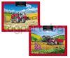 SET OF 2 JIGSAW PUZZLES OF 36 PIECES FOR CHILDREN