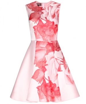 Balza Rose printed dress